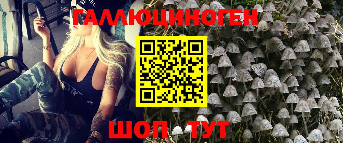 Галлюциногенные грибы Cubensis Гусев